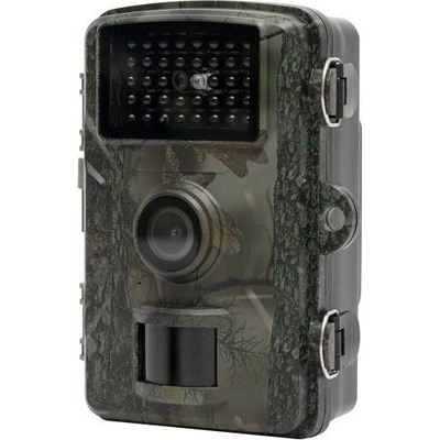 HOME WILDCAM1