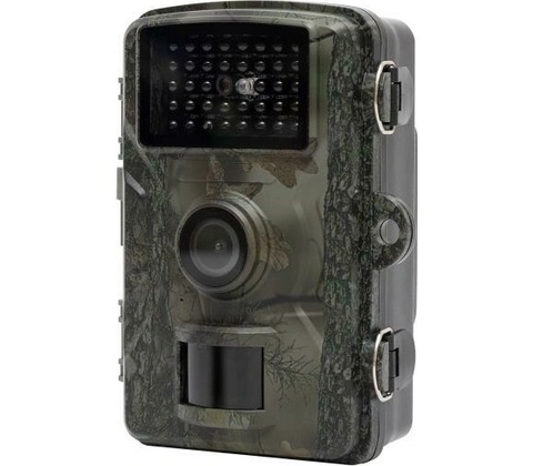 HOME WILDCAM1