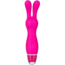 Vibe Therapy Lapin
