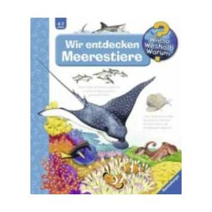Wieso? Weshalb? Warum? , Band 27: Wir entdecken Meerestiere | Andrea Erne, Anne Ebert (ISBN: 9783473326433)