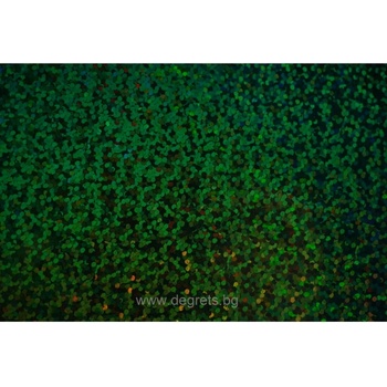 Image 1 of Фолио Зелен металик 3