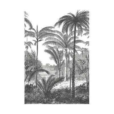 Grandeco Vliesová fototapeta s digitálnou potlačou One Roll Palm Scenery 3 diely, 280 x 159 cm