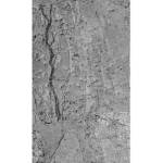 DIMEX ART Флизелинов фототапет бетонен под 150 x 250 см