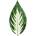 Umelý list Hosta 50 cm