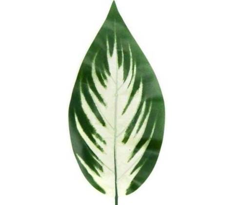 Umelý list Hosta 50 cm