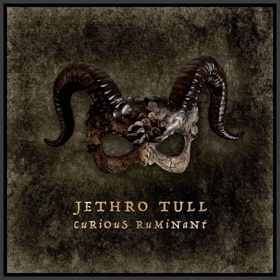 Jethro Tull Curious Ruminant LP
