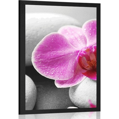 Plakát květiny orchideje na bílých kamenech - 20x30 black