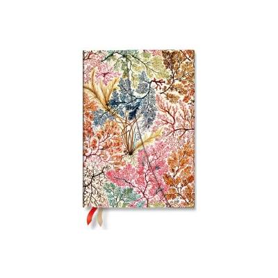 Anemone MIDI Horizontal Hardcover 12-Month Weekly Planner, 160pg, 100gsm by Paperblanks William Kilburn 2027