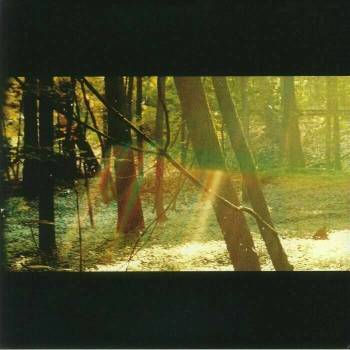 Childish Gambino - Camp (180g) (2 LP) (892038002404)
