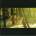 Childish Gambino - Camp (180g) (2 LP) (892038002404)