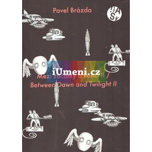 Pavel Brázda - Mezi začátky a konci II | Richard Drury