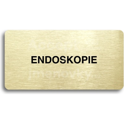 ACCEPT Piktogram ENDOSKOPIE - zlatá tabulka - černý tisk bez rámečku