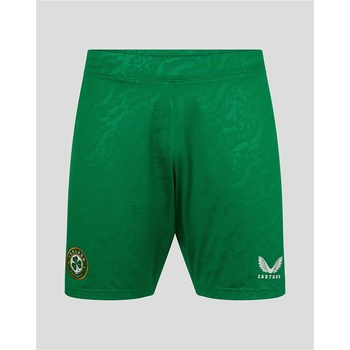 Image 1 of Castore Ireland Third Short Mens 2025 - Green