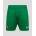 Castore Ireland Third Short Mens 2025 - Green