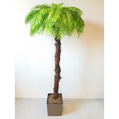 Umělá palma- světlá s kůrou 160 cm