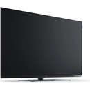 Loewe We. See 48" TV