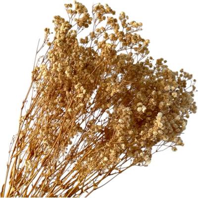 FLOWERIO Stabilizovaná Gypsophila - Nevestin závoj 110g - krémová