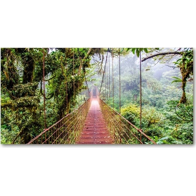 Fotoobraz na skle Most v pralese 100x50 cm