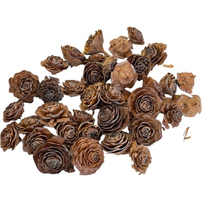 Cédrové ruže 3-5cm 200g - prírodné
