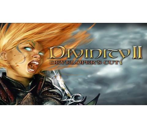 Divinity 2 (The Developer’s Cut)