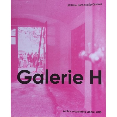 Galerie H | Jiří Hůla, Josef Ledvina, Zdislava Melicharová Ryantová, Barbora Špičáková, Jan Wollner
