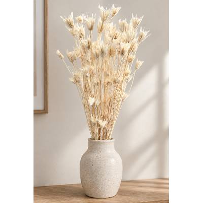 Sušená Nigella Oriental bělená svazek/kytice 90g-95g