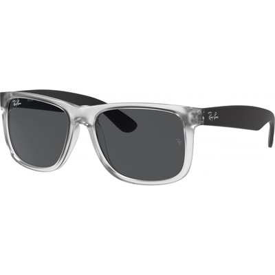 Ray-Ban 4165 651287