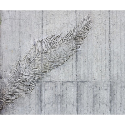 Komar Vliesová fototapeta Betonfeder rozměry 300 x 250 cm