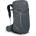 Osprey Раница Sportlite 30