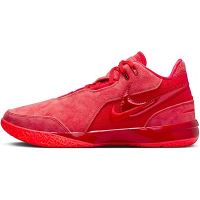 Nike ZM Lebron NXXT GEN AMPD fj1566-600