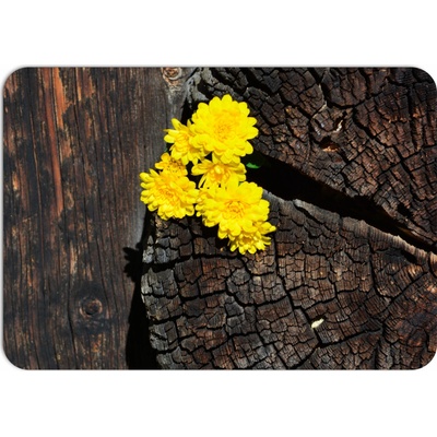 PokojovaDekorace.cz Prostírání 077 Žluté květiny na starém dřevě 43x30cm