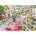 Bluebird Puzzle - Puzzle The Sweet Shop - 1 000 piese