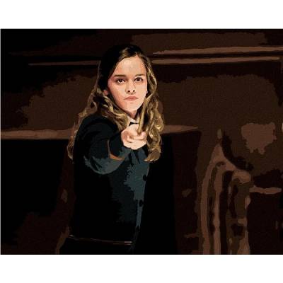 zuty Malování Podle Čísel Hermiona S Hůlkou Harry Potter 40 x 50 Cm Plátno Rám