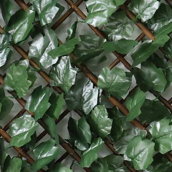 NIKA Декоративна ограда Хармоника uv тъмнозелен БРЪШЛЯН 1.0х2.0 м (mz sl04002)