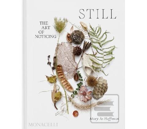 STILL - Mary Jo Hoffman