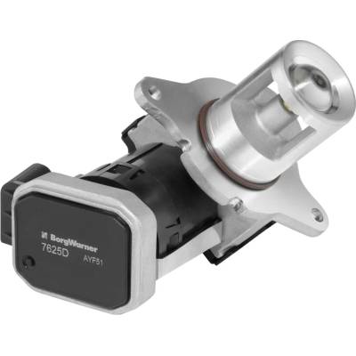 BorgWarner AGR ventil BGW 7625D