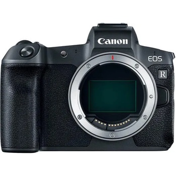 Canon EOS R + RF 24-105mm IS USM + EF-EOS RF 35mm