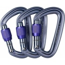 Black Diamond LITEFORGE SCREWGate