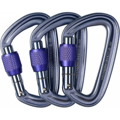 Black Diamond LITEFORGE SCREWGate – Sleviste.cz