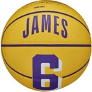 Wilson NBA Player Icon