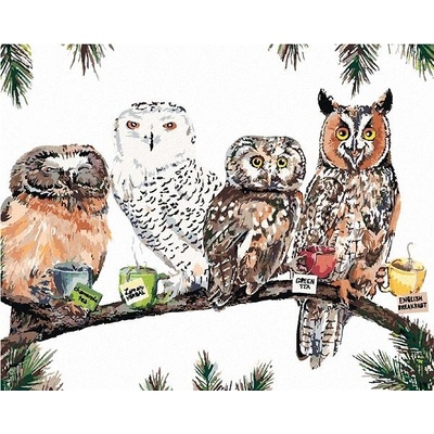 zuty Malování podle čísel Sovy s čajem Holly Simental 40 x 50 cm vypnuté plátno na rám