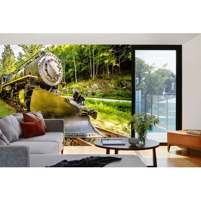 DIMEX ART Самозалепваща се флизелинова фототапета локомотив 375 x 250 см
