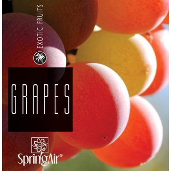 Spring Air náplň pre Iconoscent/Artyscent Grape 500 ml