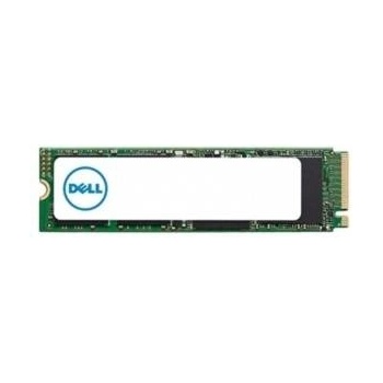 Dell 256GB 496FF