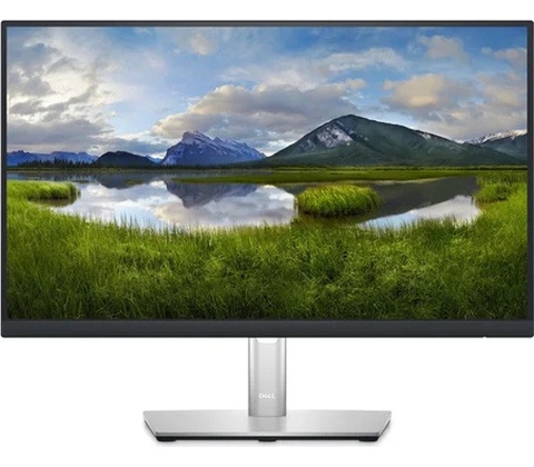 Dell P2422HE