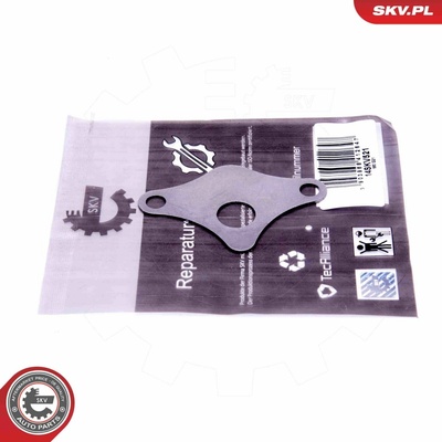 Súprava na opravu, ventil AGR ESEN SKV 14SKV521 14SKV521