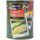 Exotic Food Bambusové výhonky nudličky 540 g