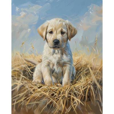 ZUTY Obrazy na stenu - ŠTEŇA LABRADORA Rámovanie: bez rámu a bez vypnutia plátna, Rozmer: 40x50 cm