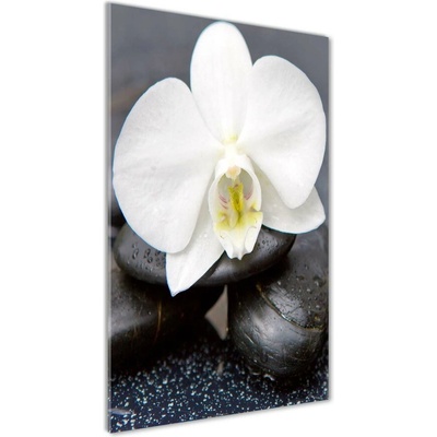 Vertikálny foto obraz fotografie na skle Orchidea a kamene 50x100 cm
