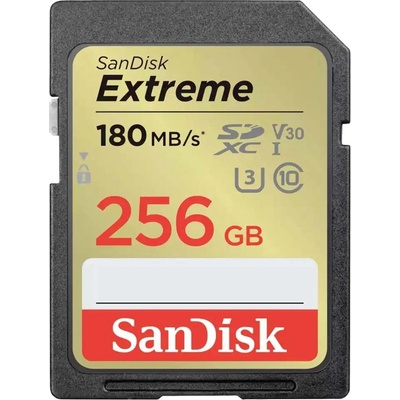 SanDisk SD 256 GB SDXVV-256G-GNCIN